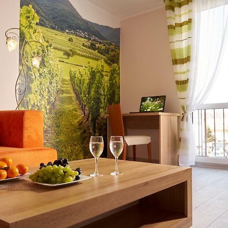 Apartament Winnica Centrum Zielona Gora  Bagian luar foto
