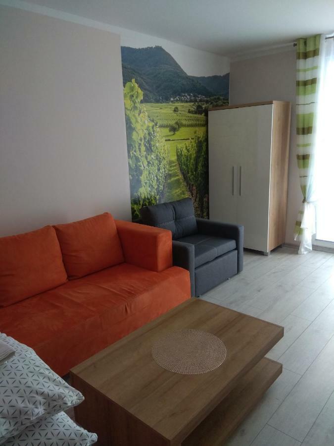 Apartament Winnica Centrum Zielona Gora  Bagian luar foto